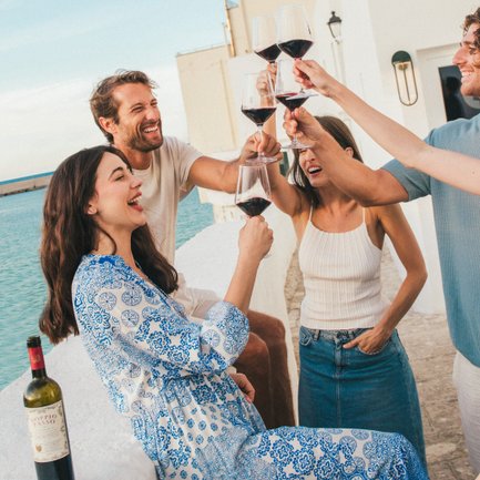 In uno scenario pittoresco, quattro amici brindano con bicchieri di vino, irradiando felicità e cameratismo in riva al mare.